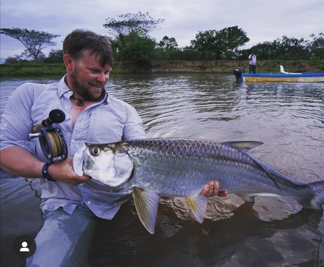Sábalo