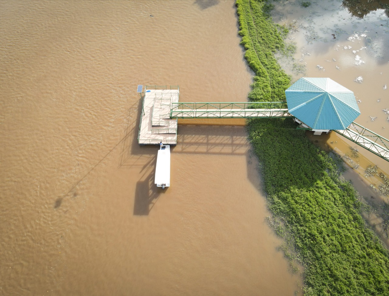 Muelle de madera