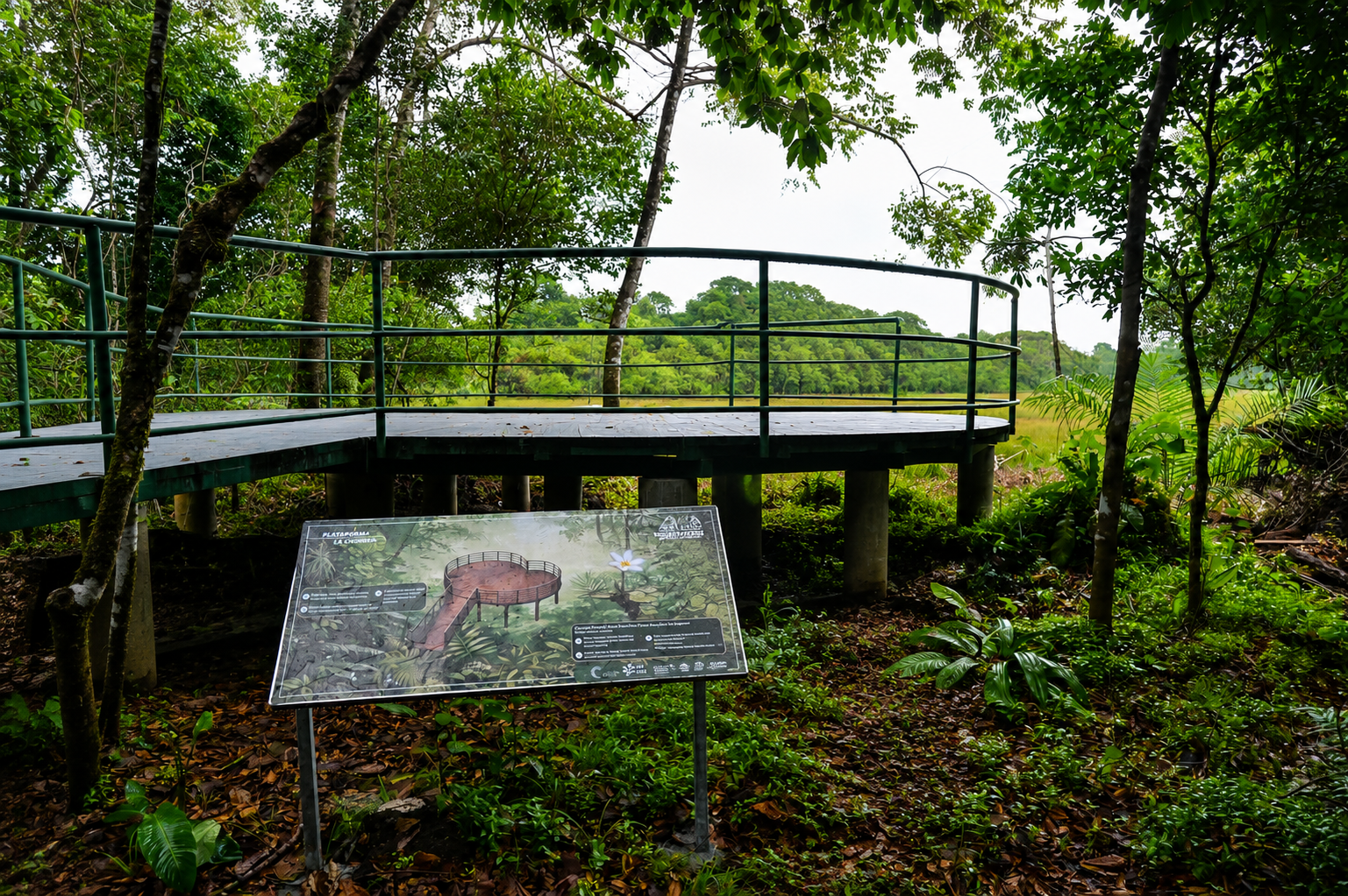 Sendero natural